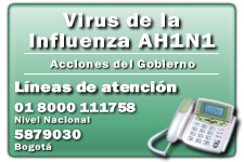 Virus de la influenza A (H1N1)