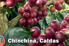 Galería fotográfica - Chinchiná, Caldas