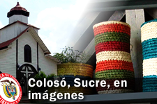 Galería fotográfica